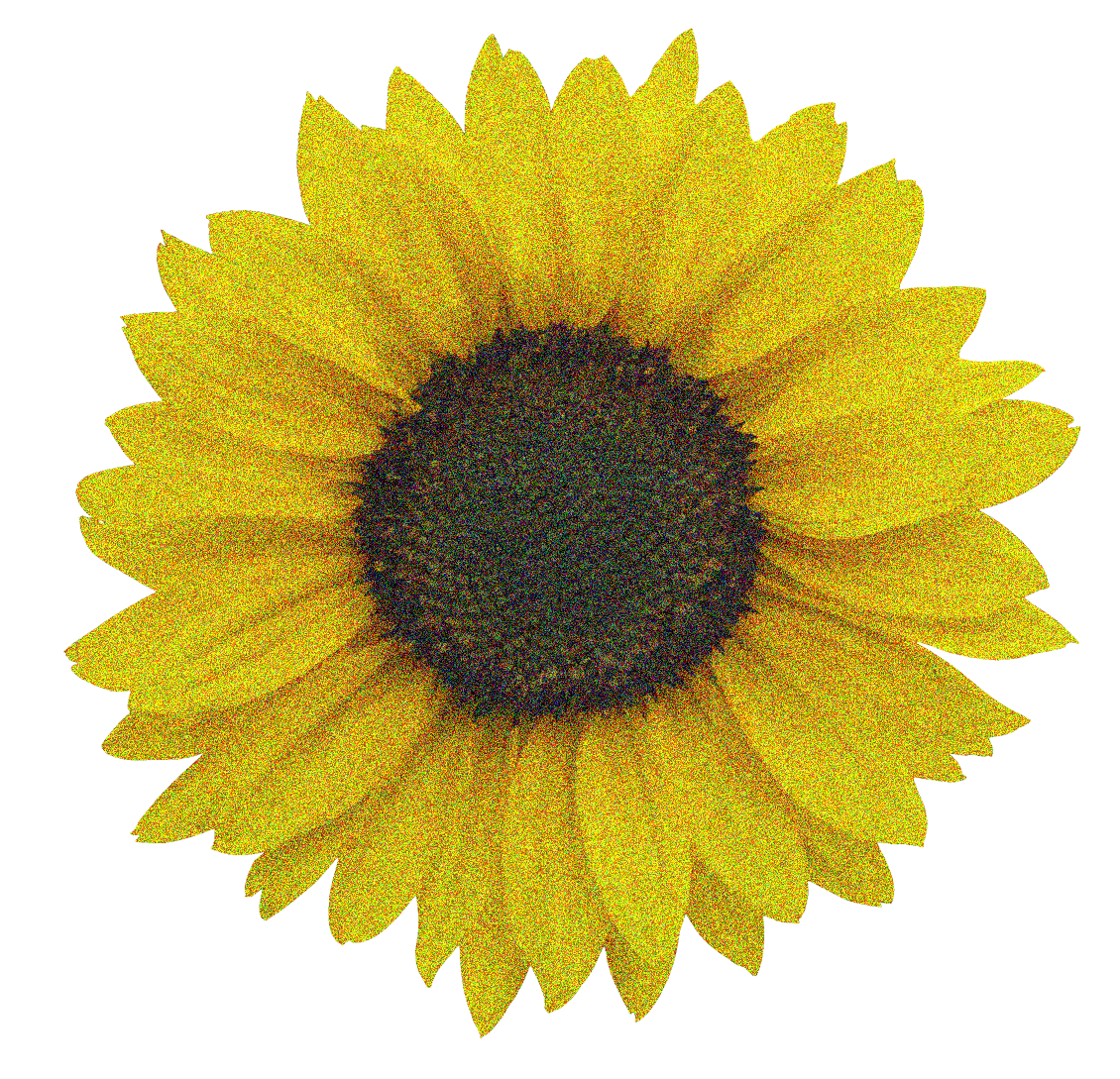 Sunflower Layer 2