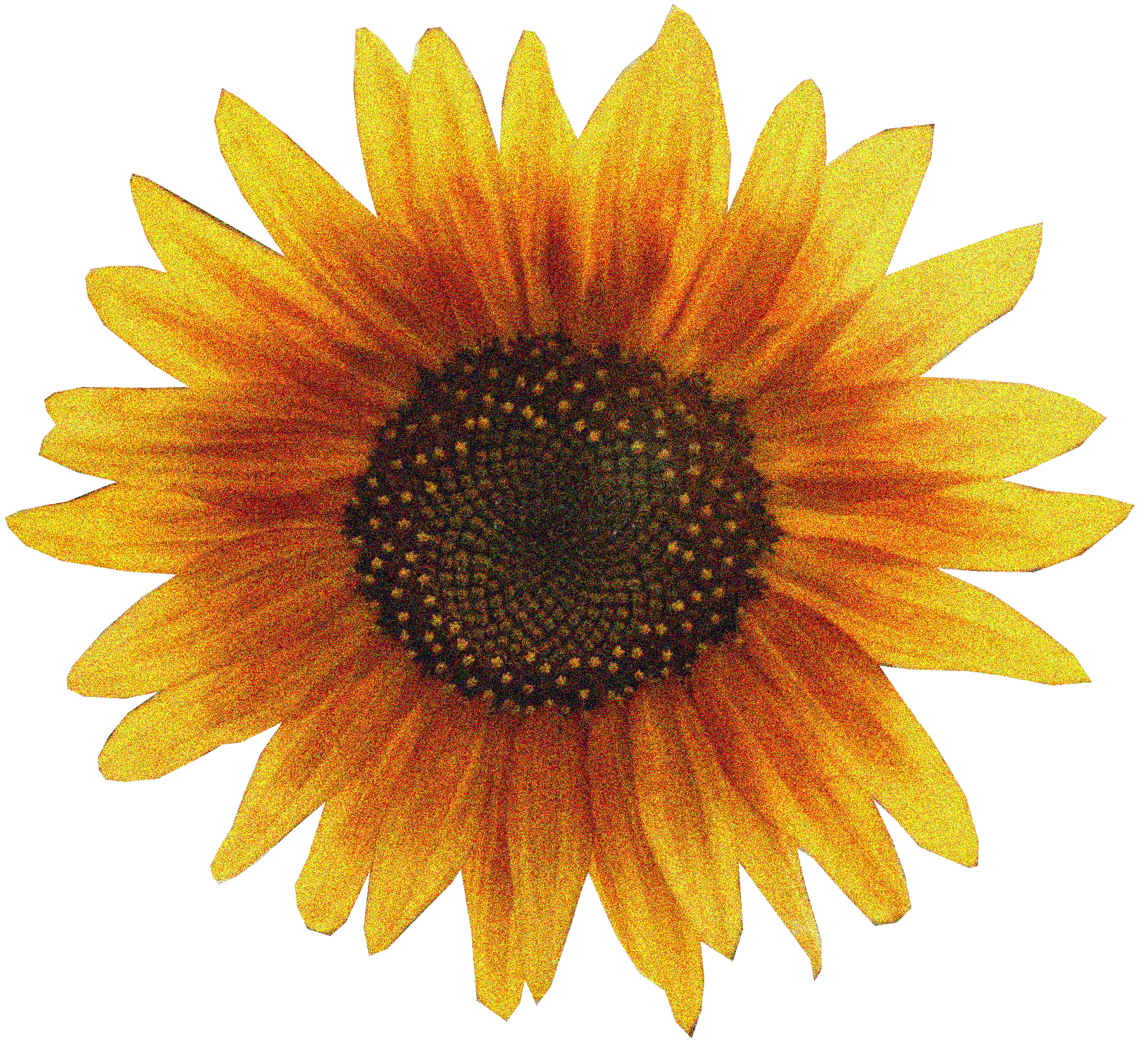 Sunflower Layer 3